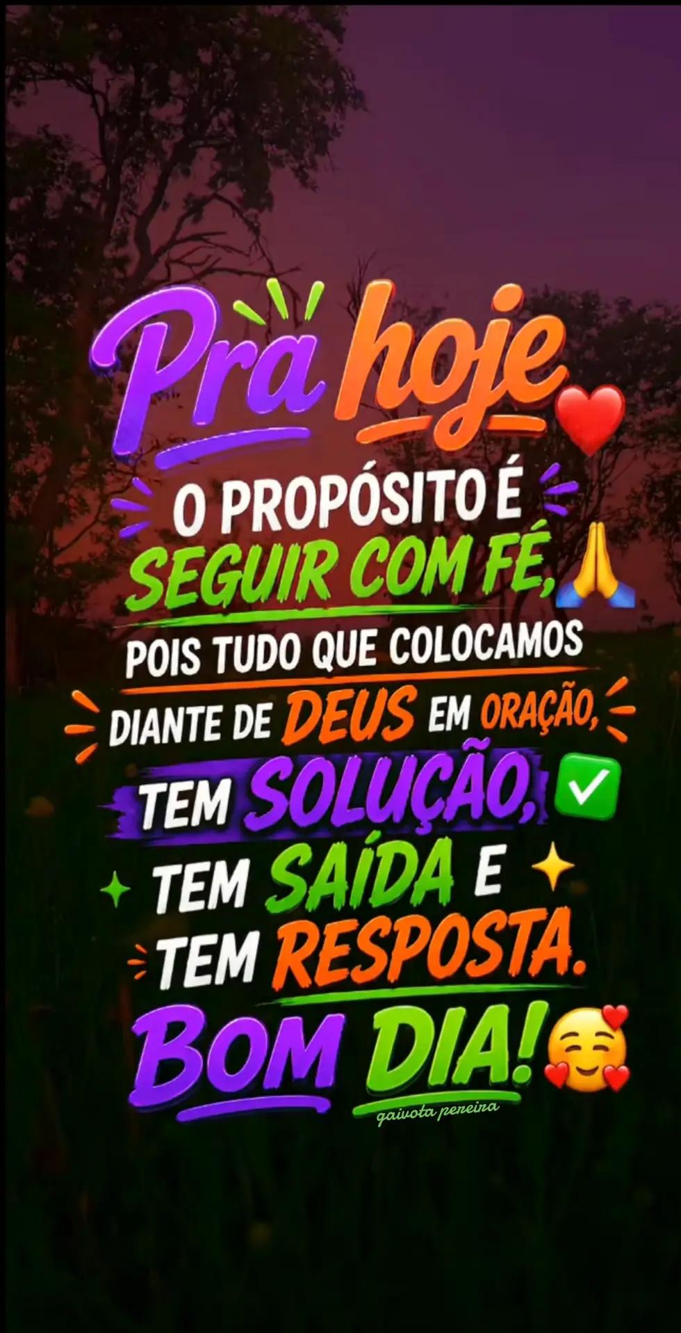 @Gaivota