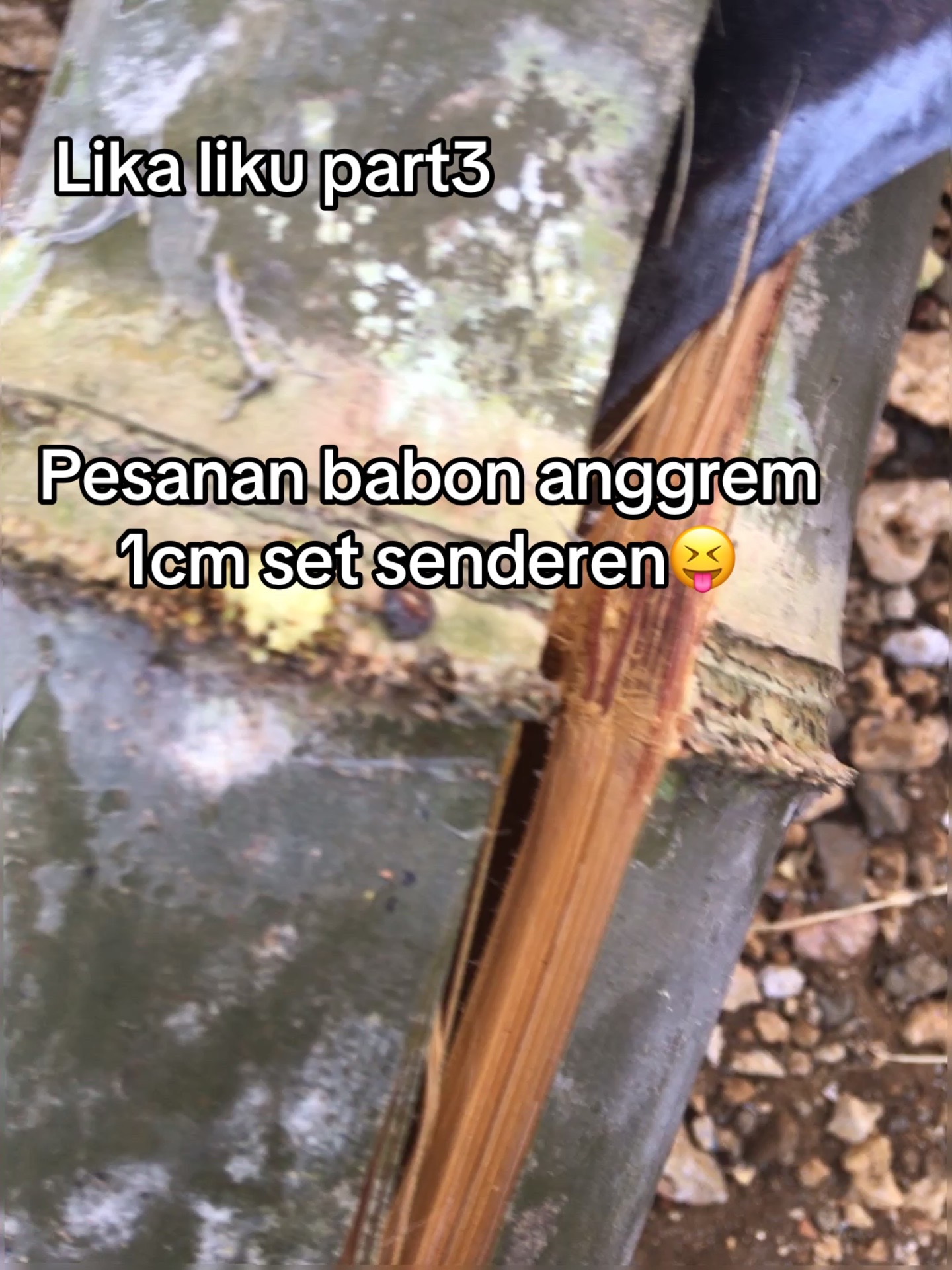 @𝘍𝘌𝘉𝘙𝘐𝘈𝘌.
