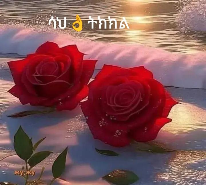 @Ethiopian