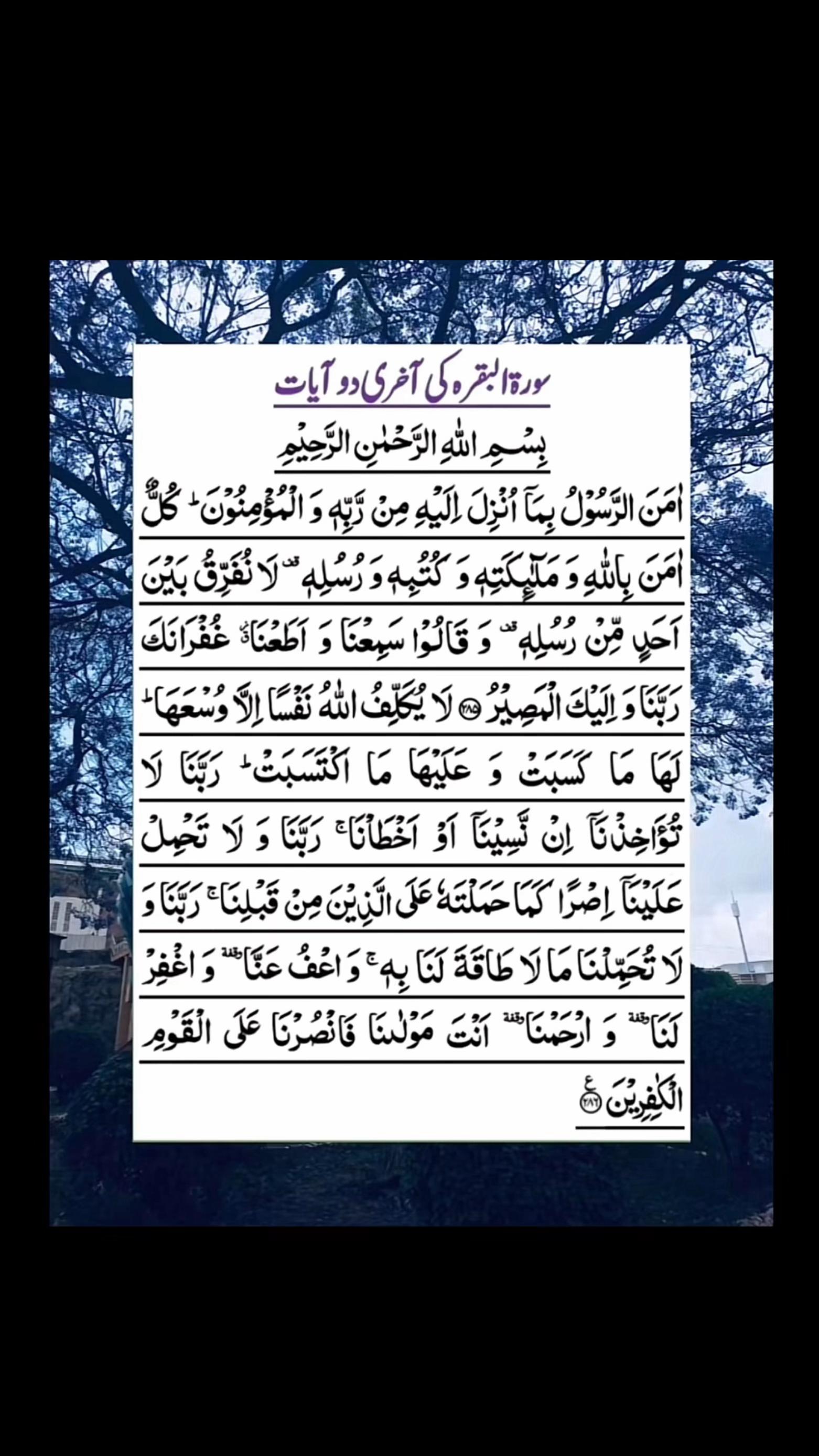@❤️Quran&Ahadith❤️