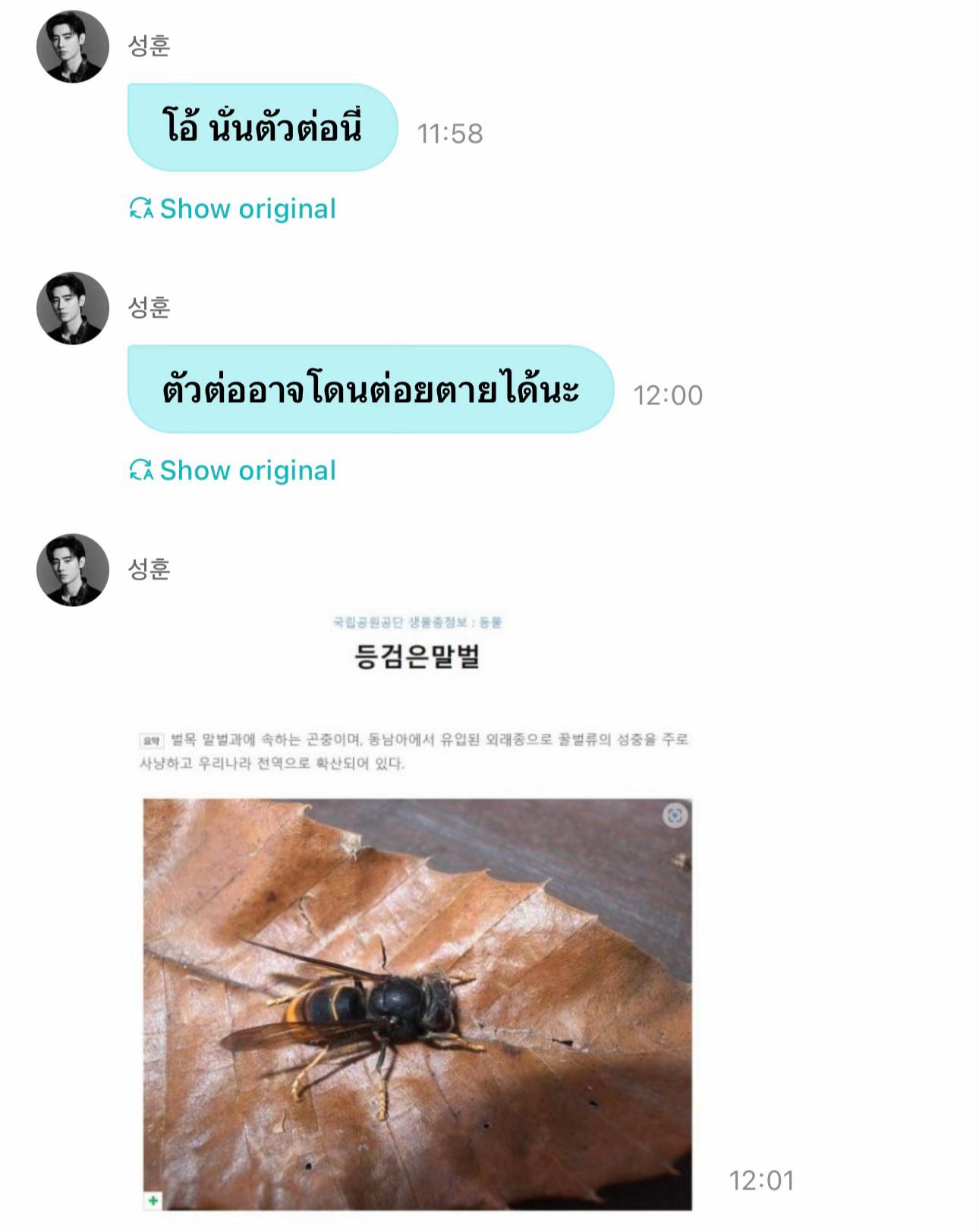 @𝐟𝐚𝐥𝐥𝐢𝐧𝐠𝐫𝐚𝐢𝐧𝐛𝐨𝐰☔️