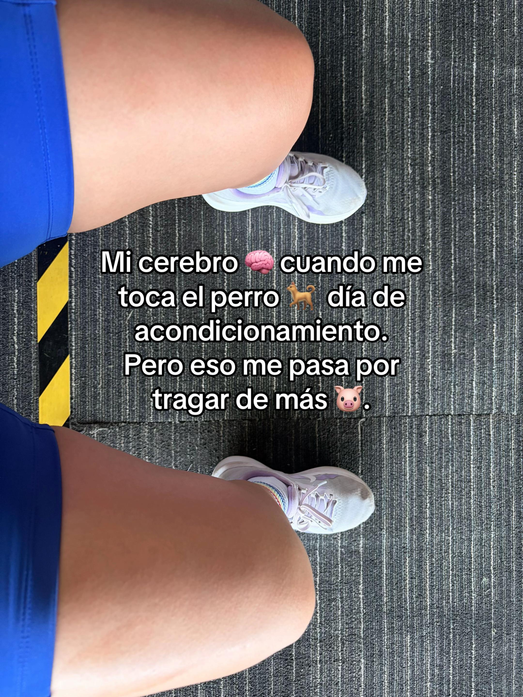 @Lucero 🍍