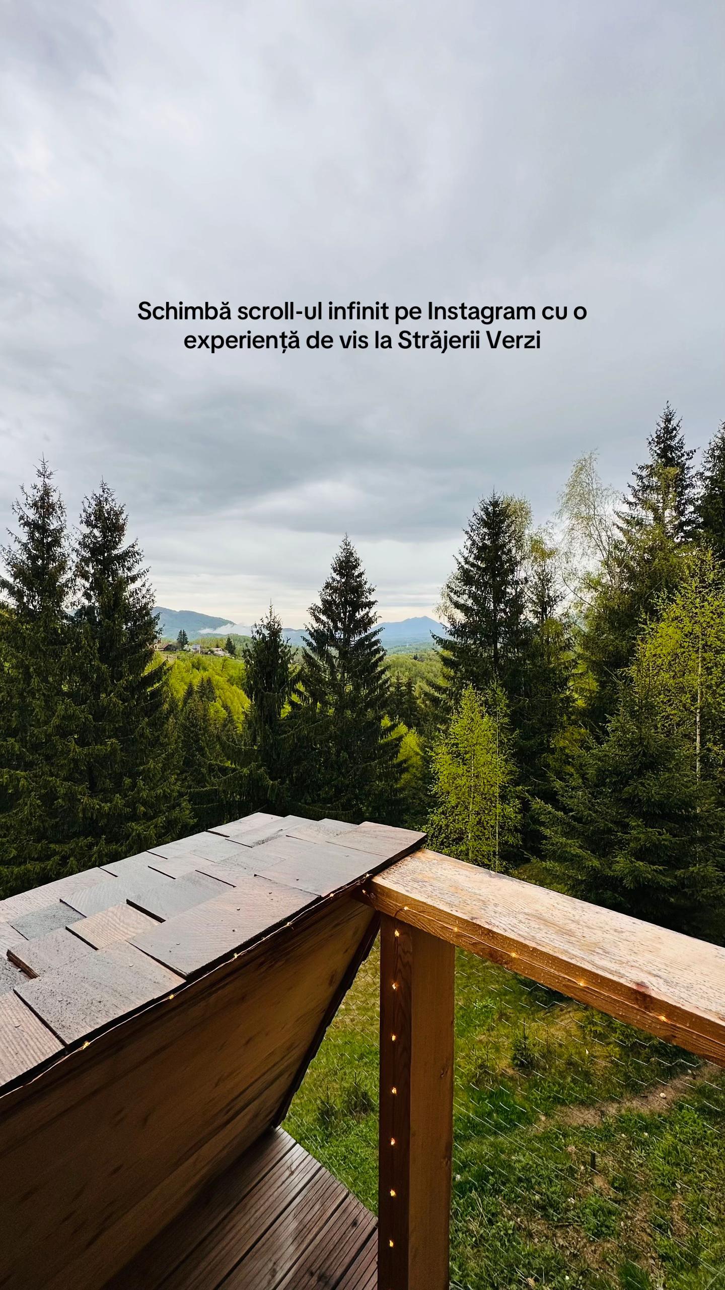 @Strajerii Verzi