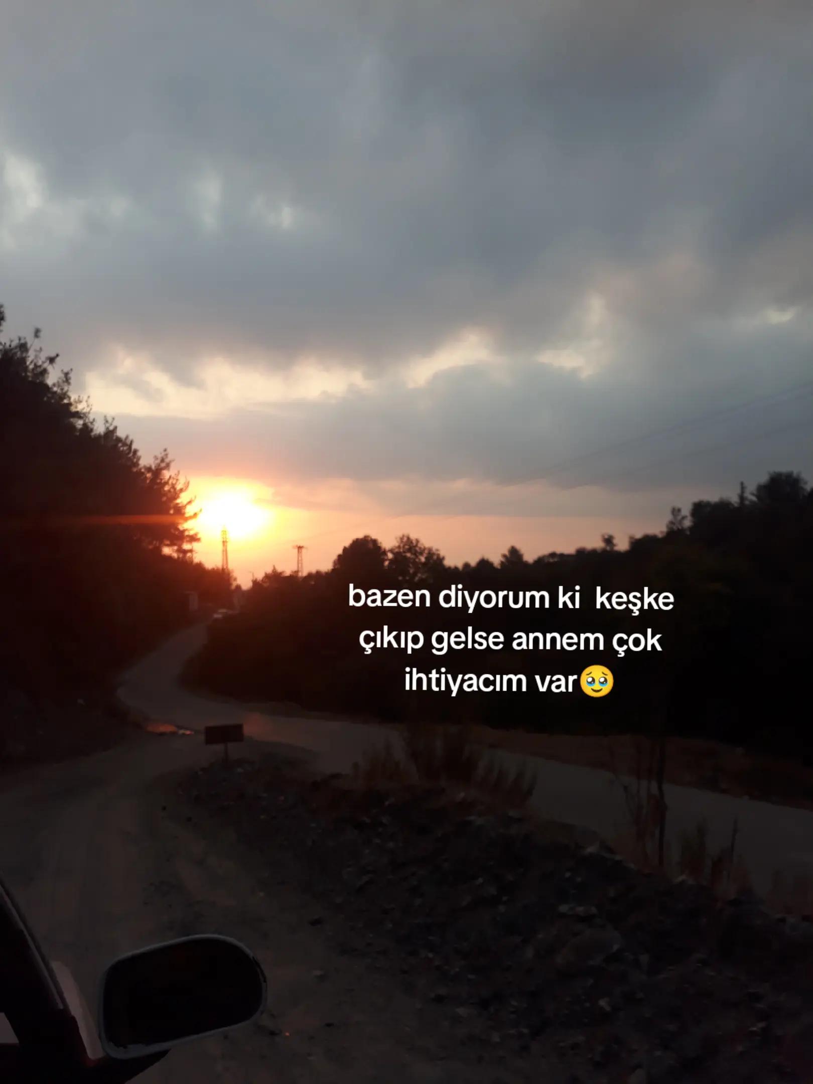 @elifsvml