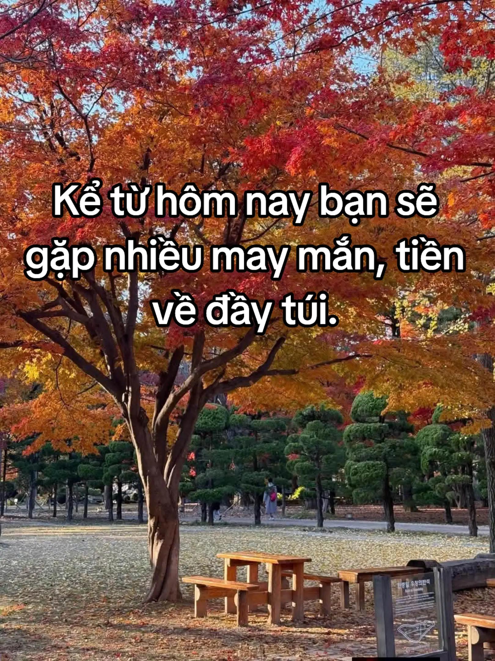 @HẢI TRUNG KIM.
