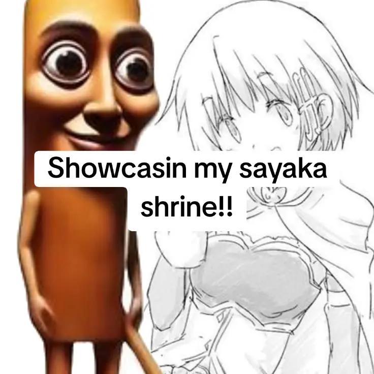 @°•ყυƙαɾʂ ྀི #1 SAYAKA MIKI FAN