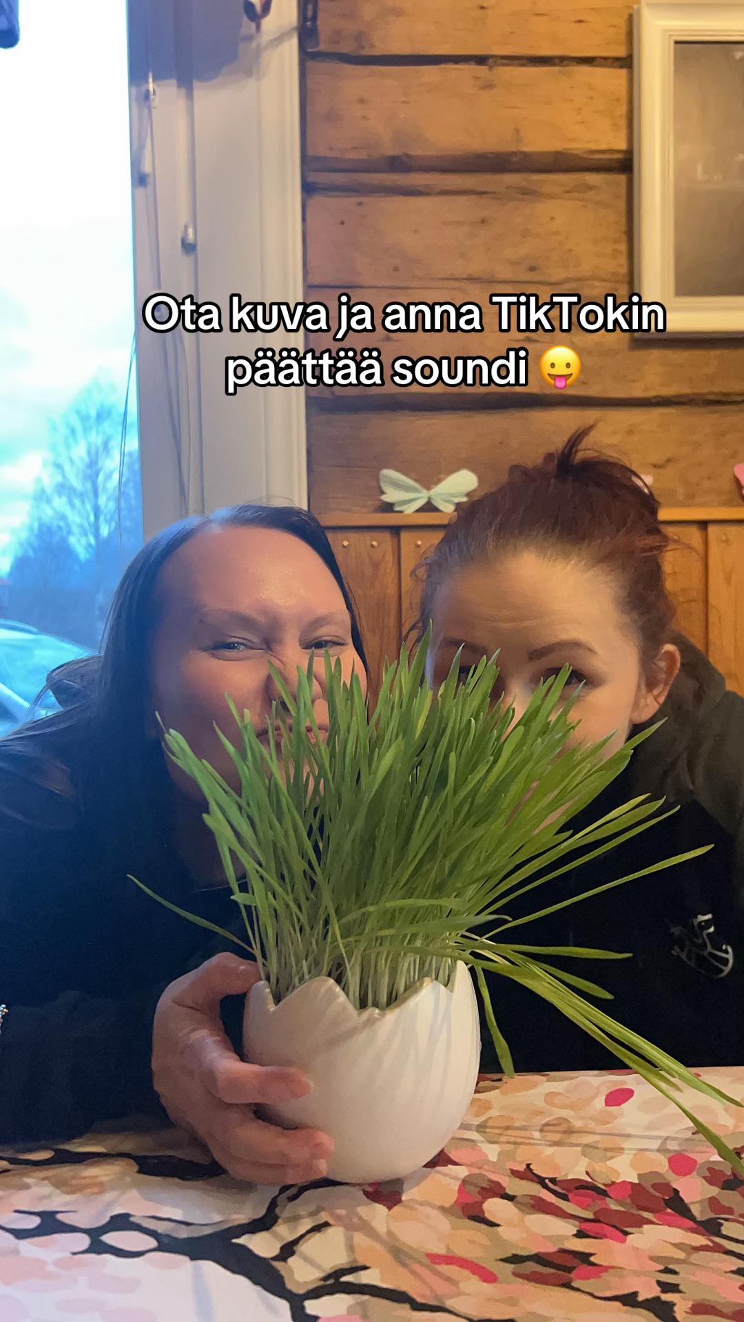 @sijaiskotisatuniemi