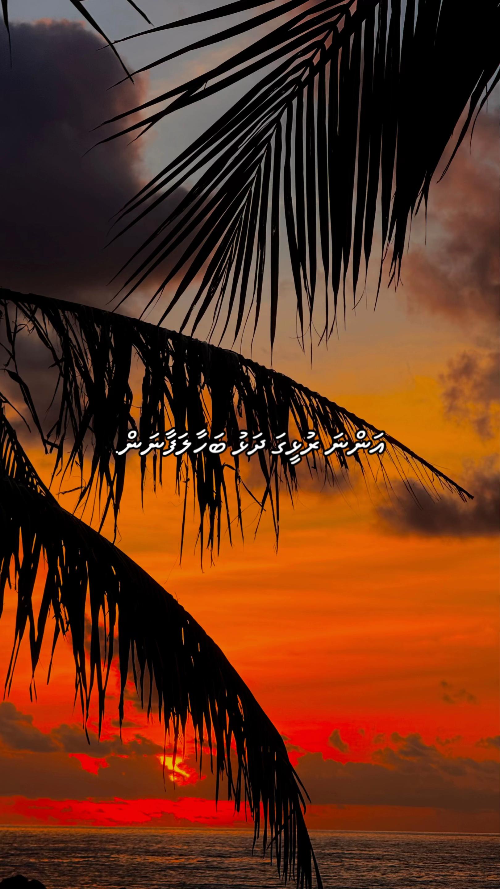 @𝔼𝕣𝕣𝕠𝕣𝟜𝟘𝟜