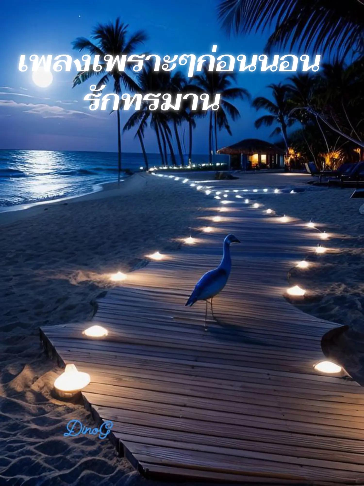 @แสงสิริ99