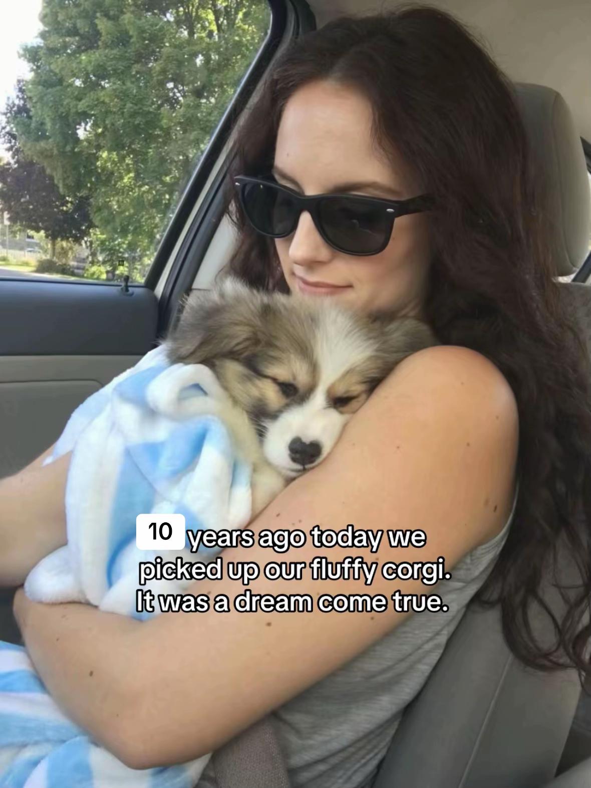 @hudsonthefluffycorgi