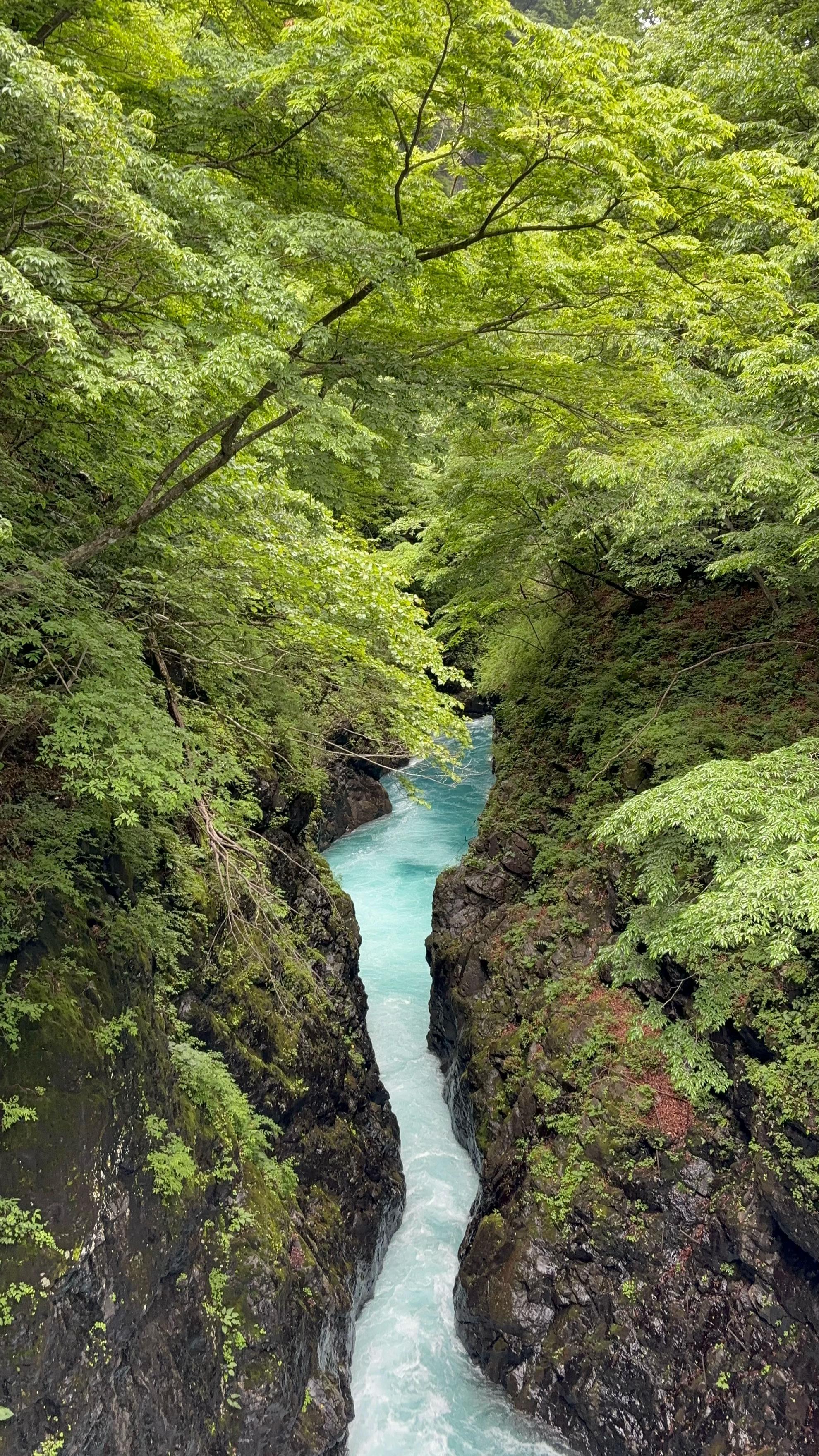 @YOHAKU.scenery