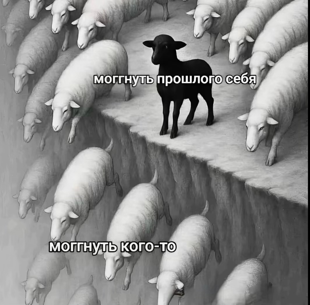 @Y̶u̶1̶c̶h̶