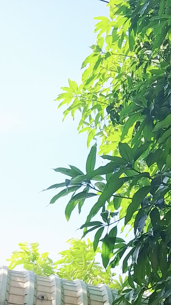 @tôi 🦋 yêu 🥞 🥺 tổng🍧 hè