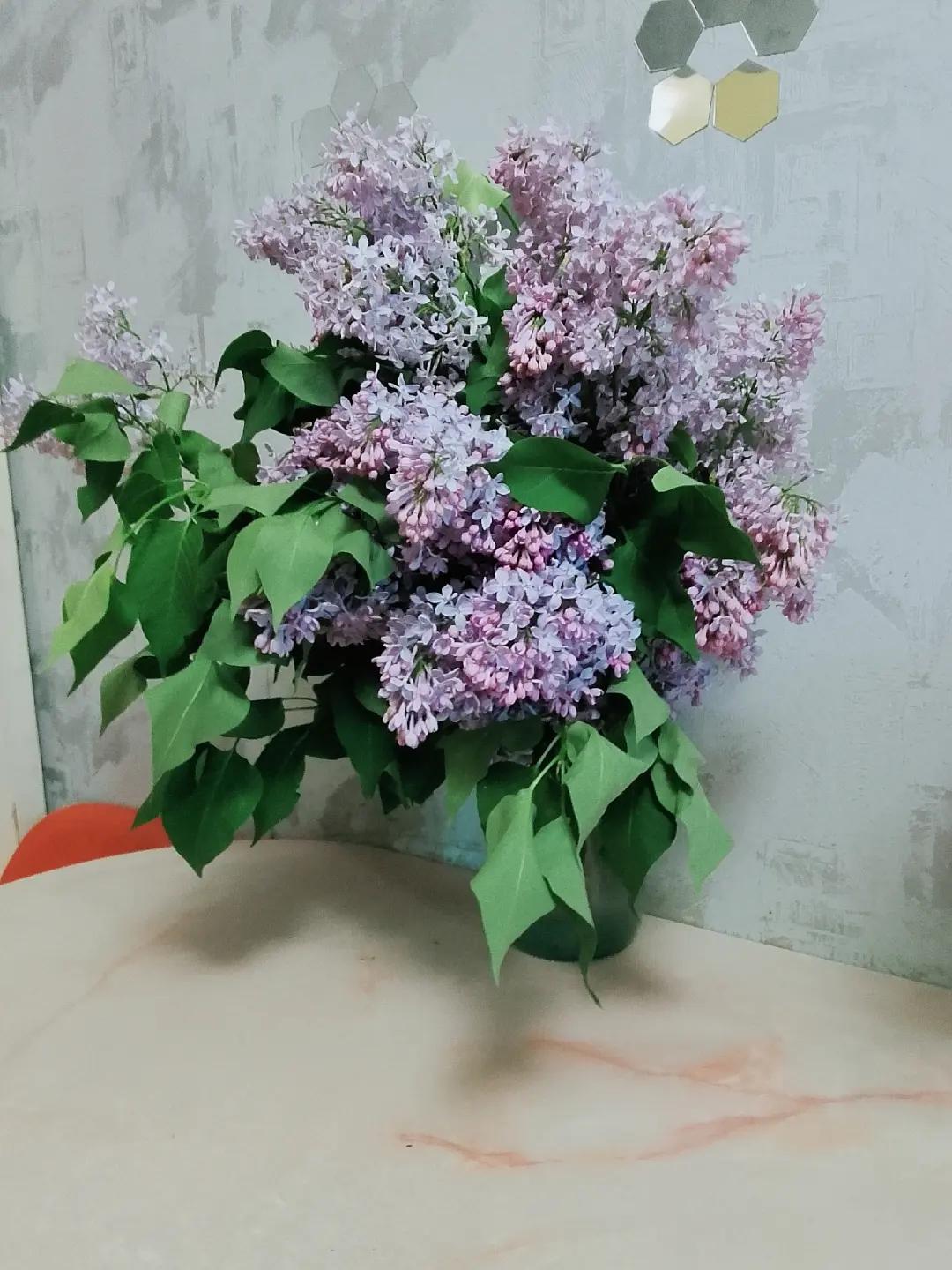 @Анастасия