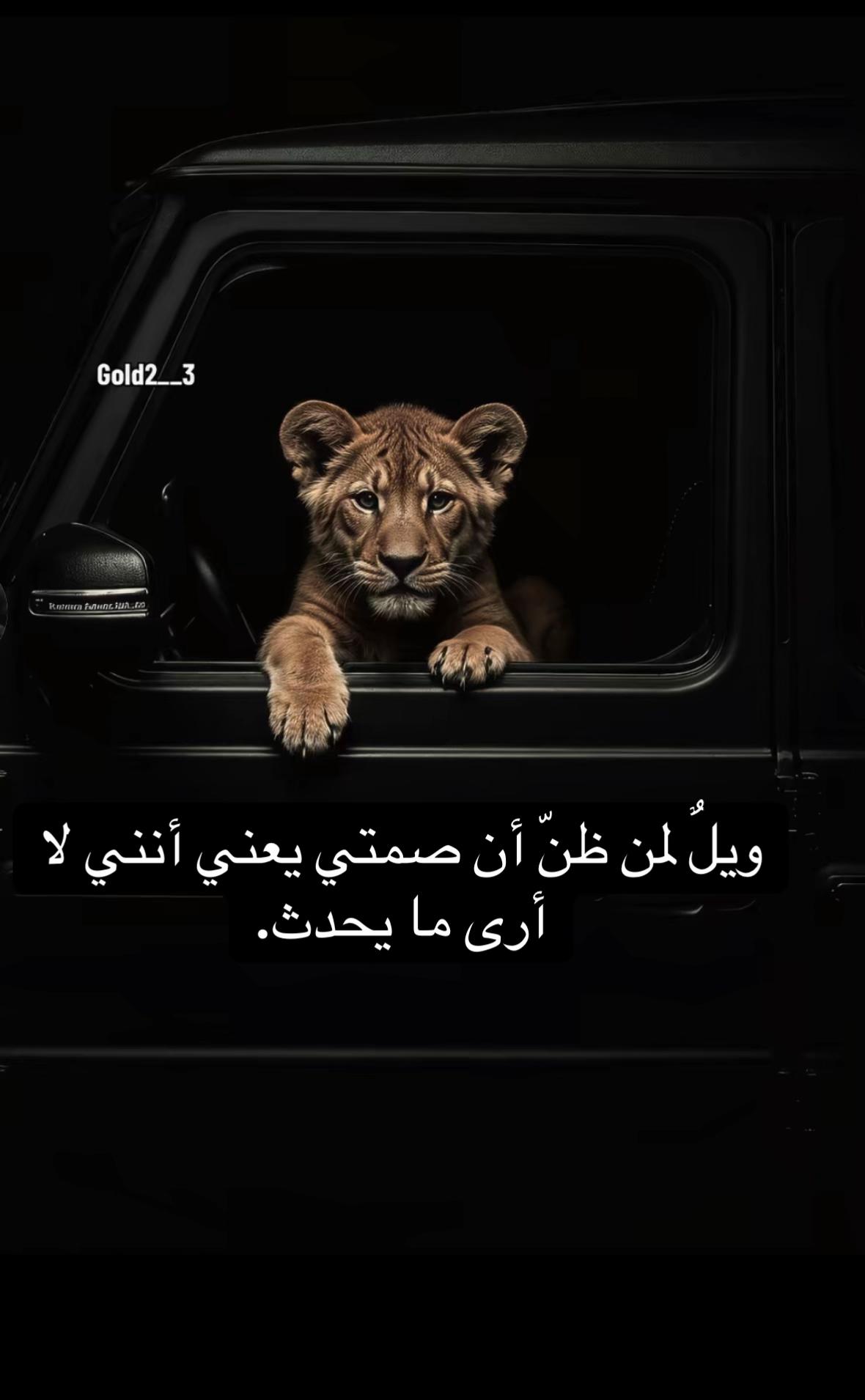 @🦁 scarface 🦁