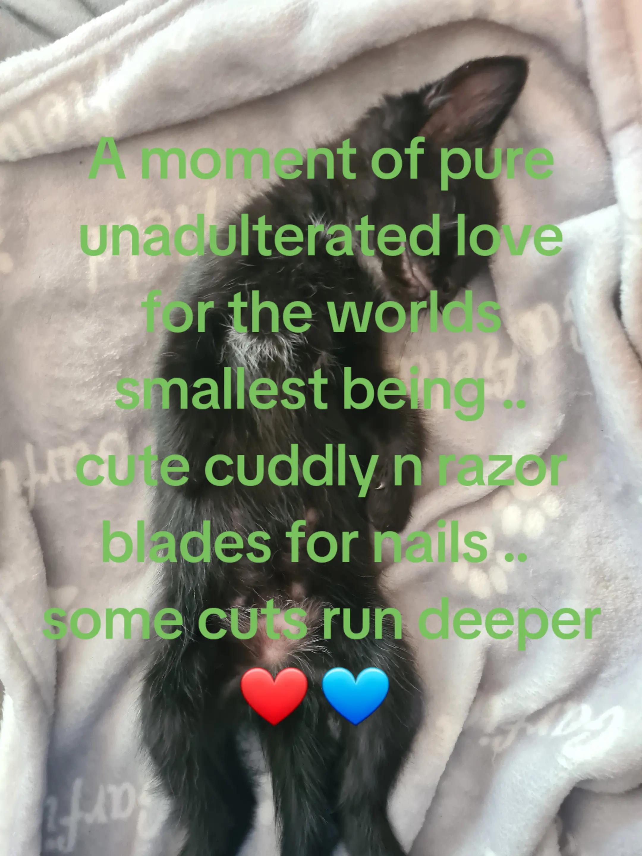 @Riccirambles