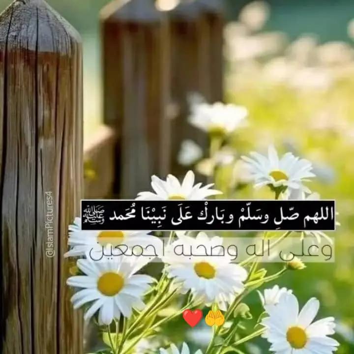 @🥀Ashna《♡》