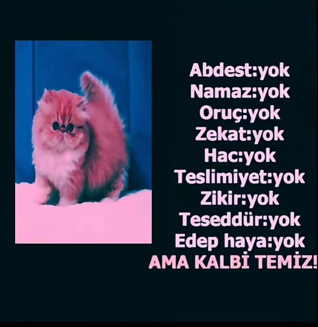 @fukara