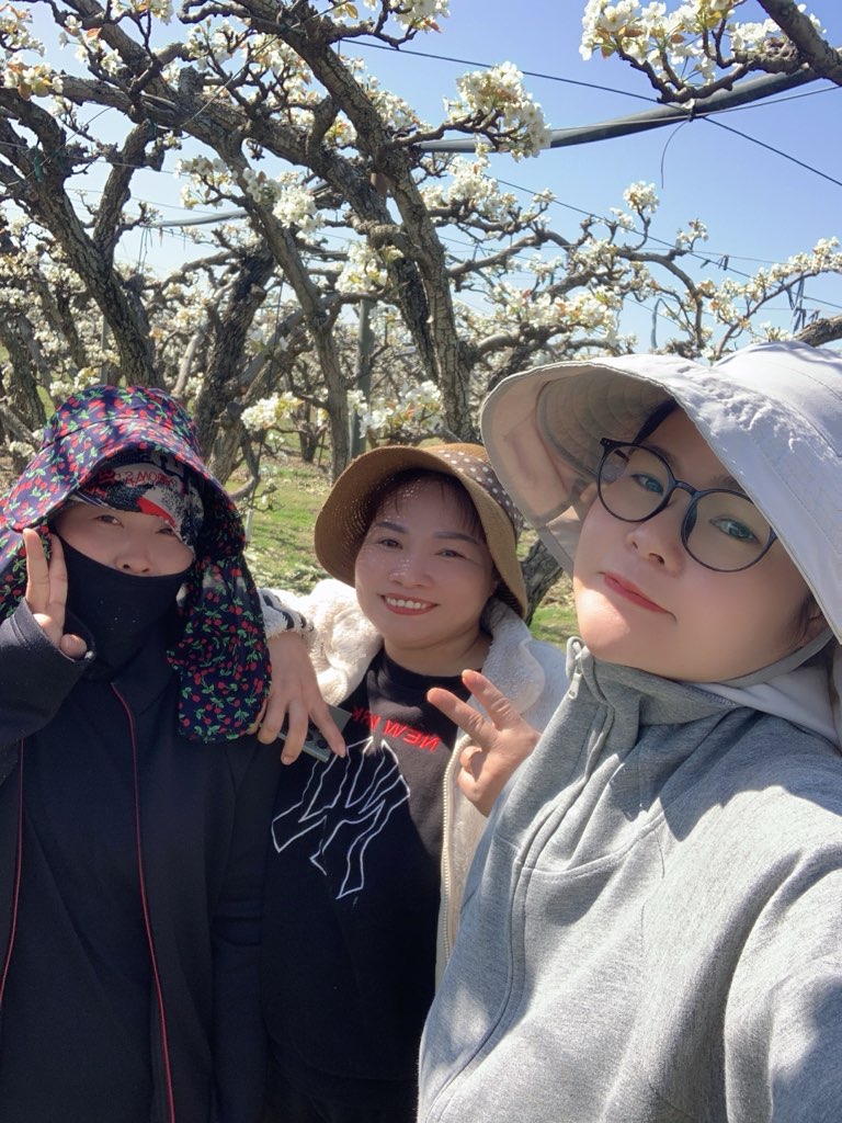 @cố quên tắt cả