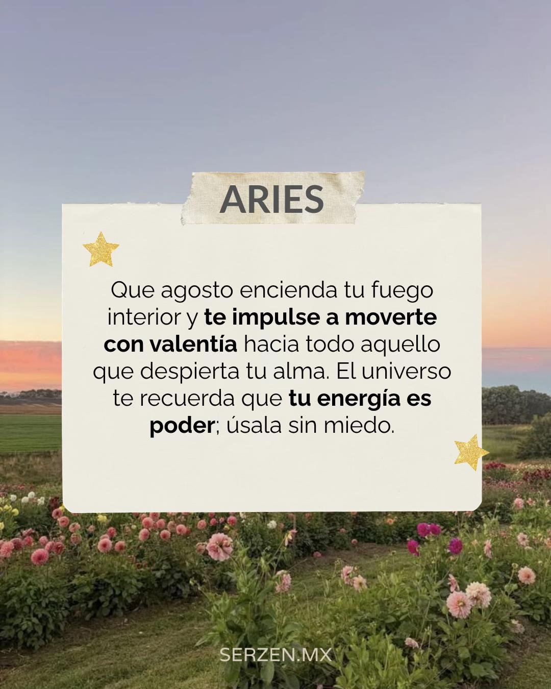 @serzen