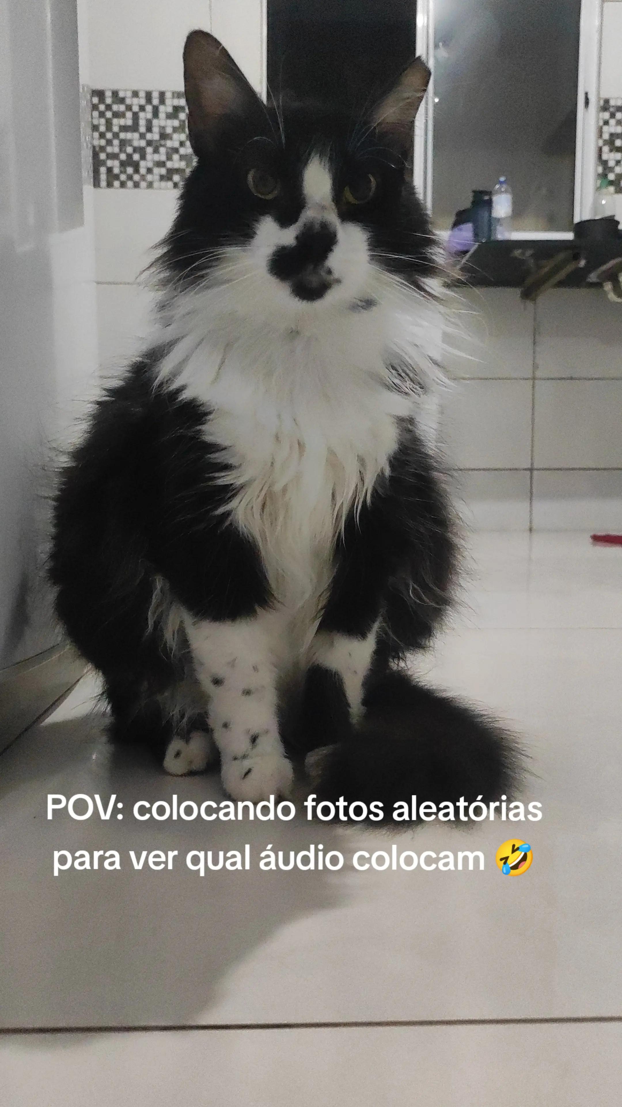 @vicsuai