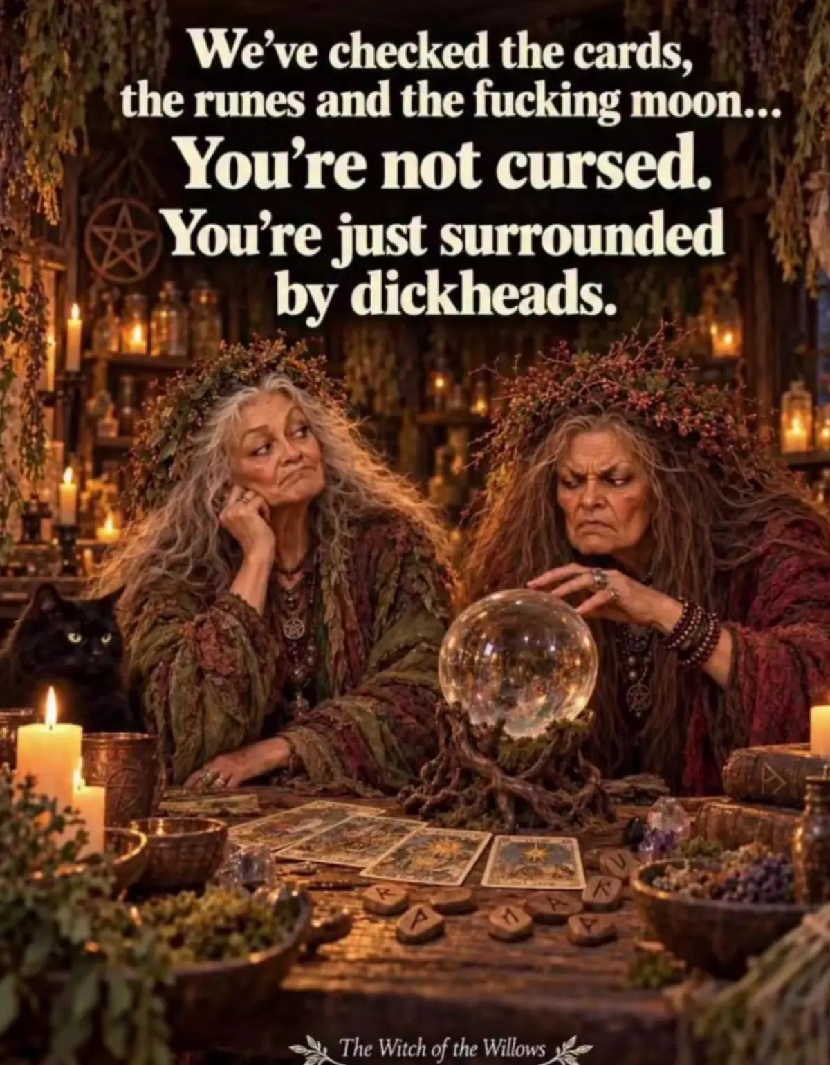 @Nikki Gen❌️ Witch 🥝🐨