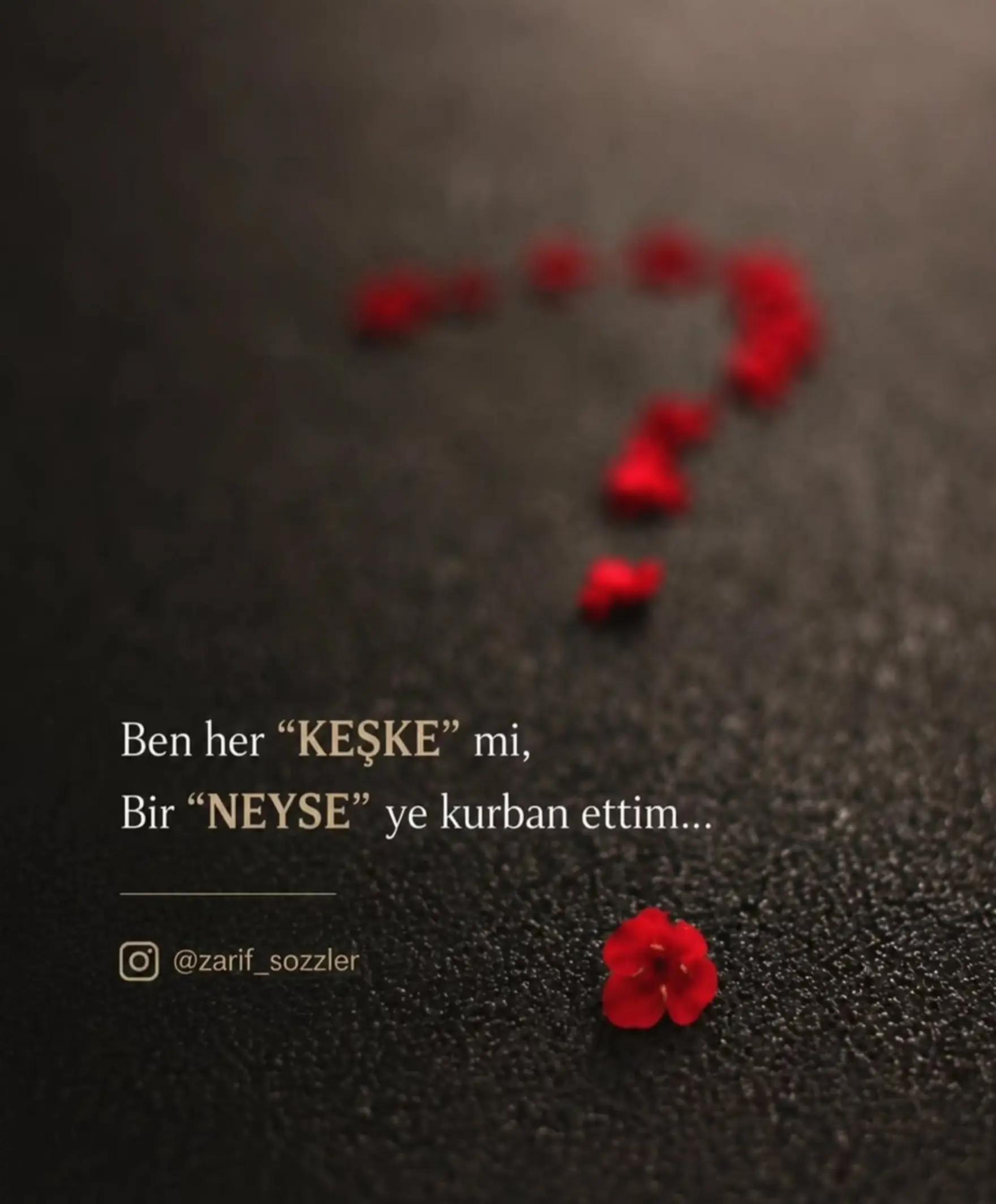 @kelebeğin R&uuml;yası 44