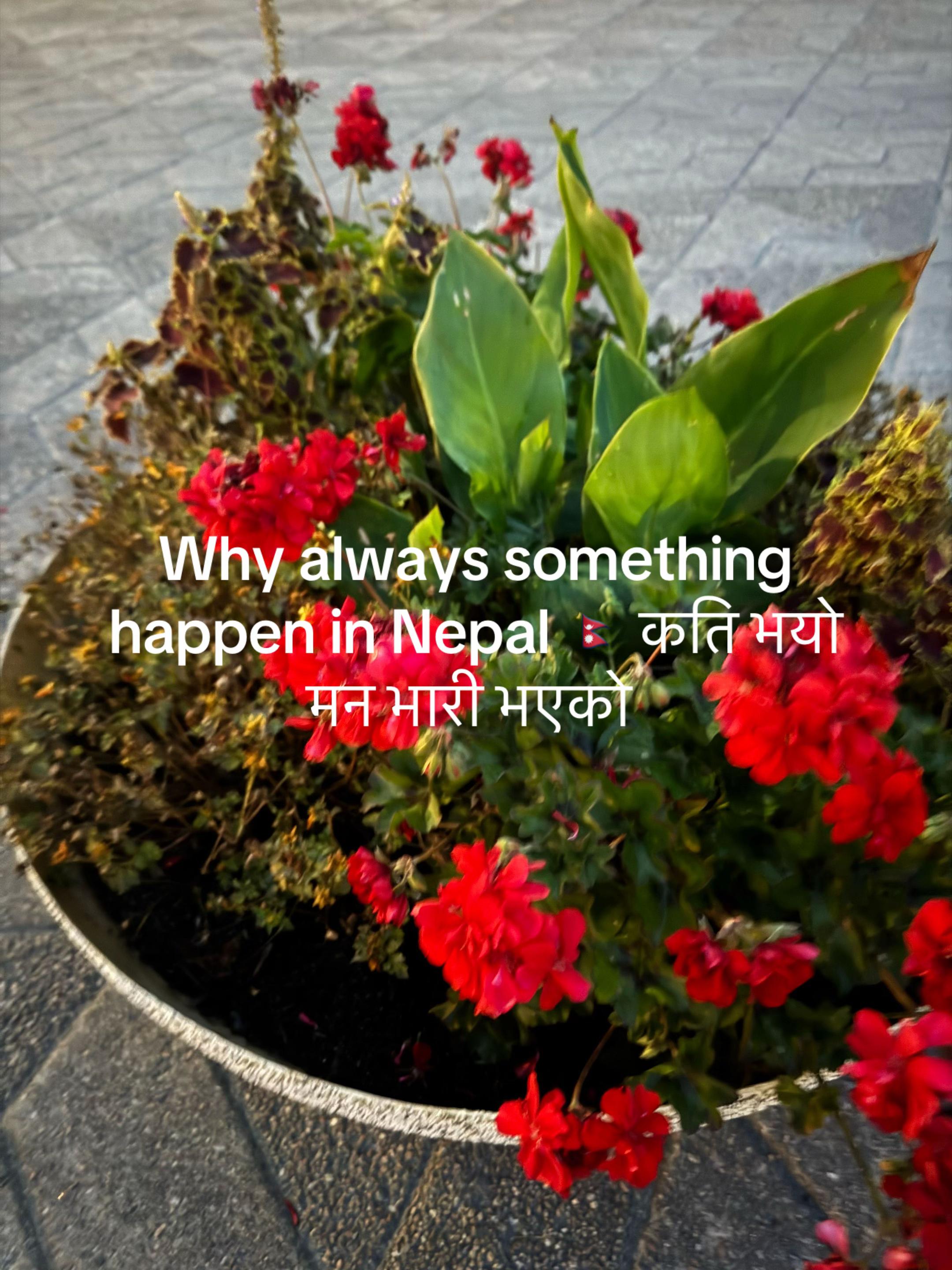 @Binita Lamichhane