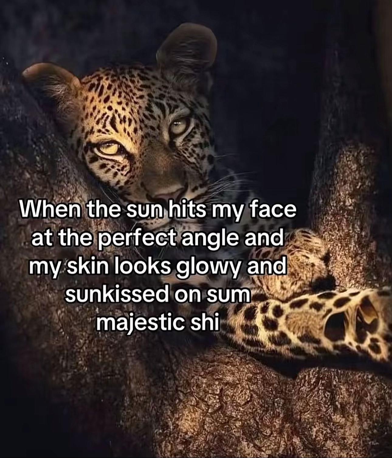 @Rajishh