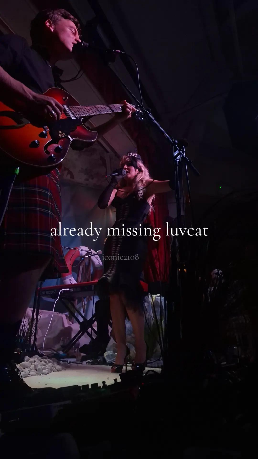 @Luvcatfann