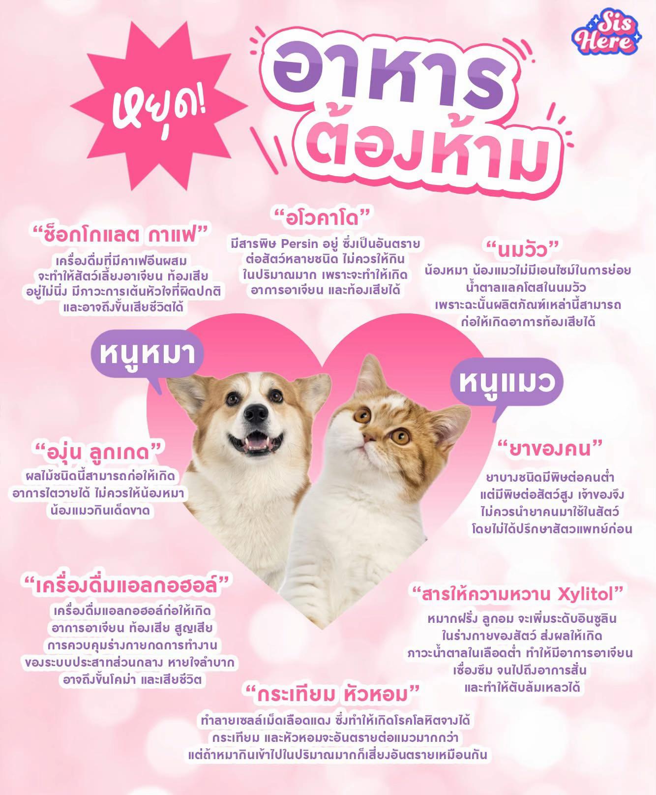 @luxsiriwan21