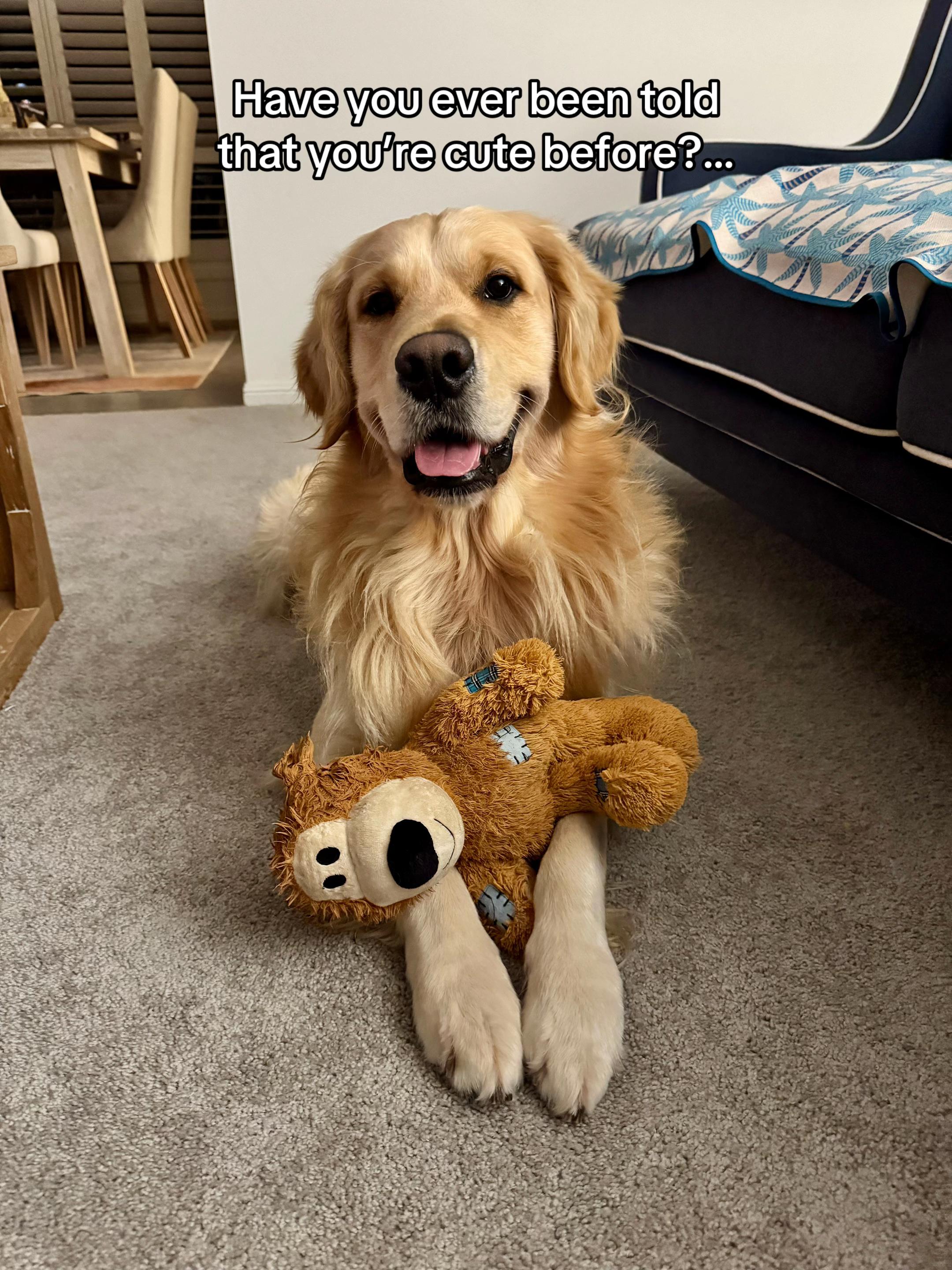 @lunas_golden_life
