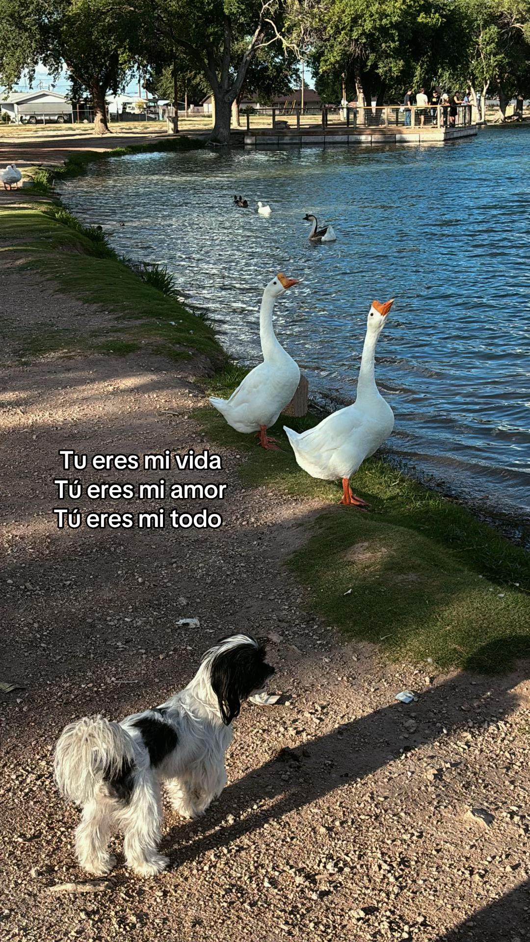 @Paola Robles