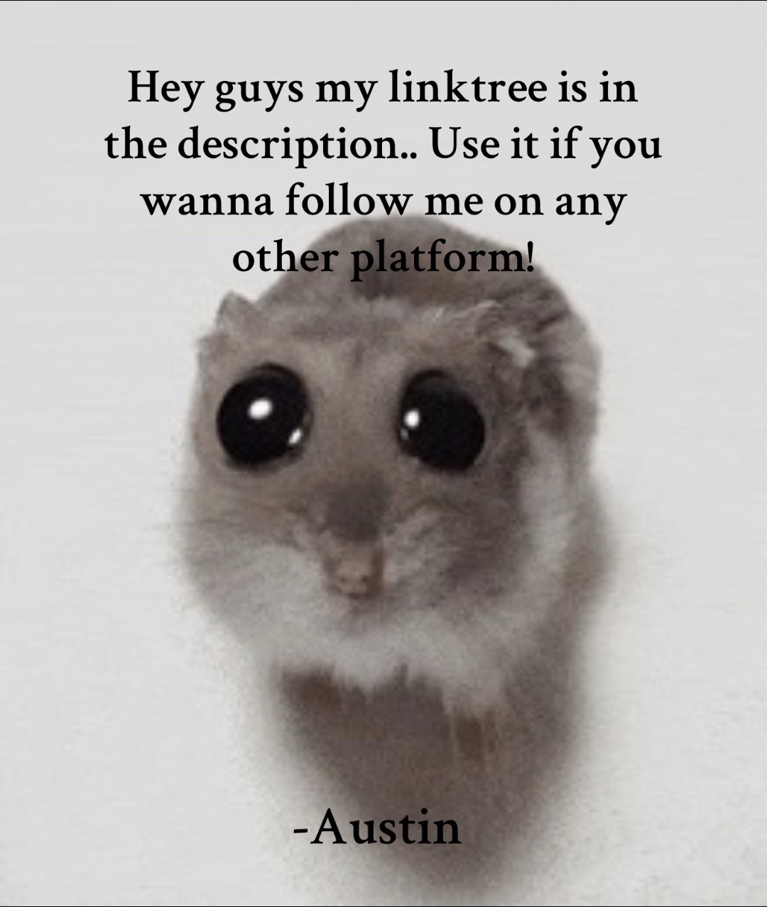 @Austin 🐦⬛