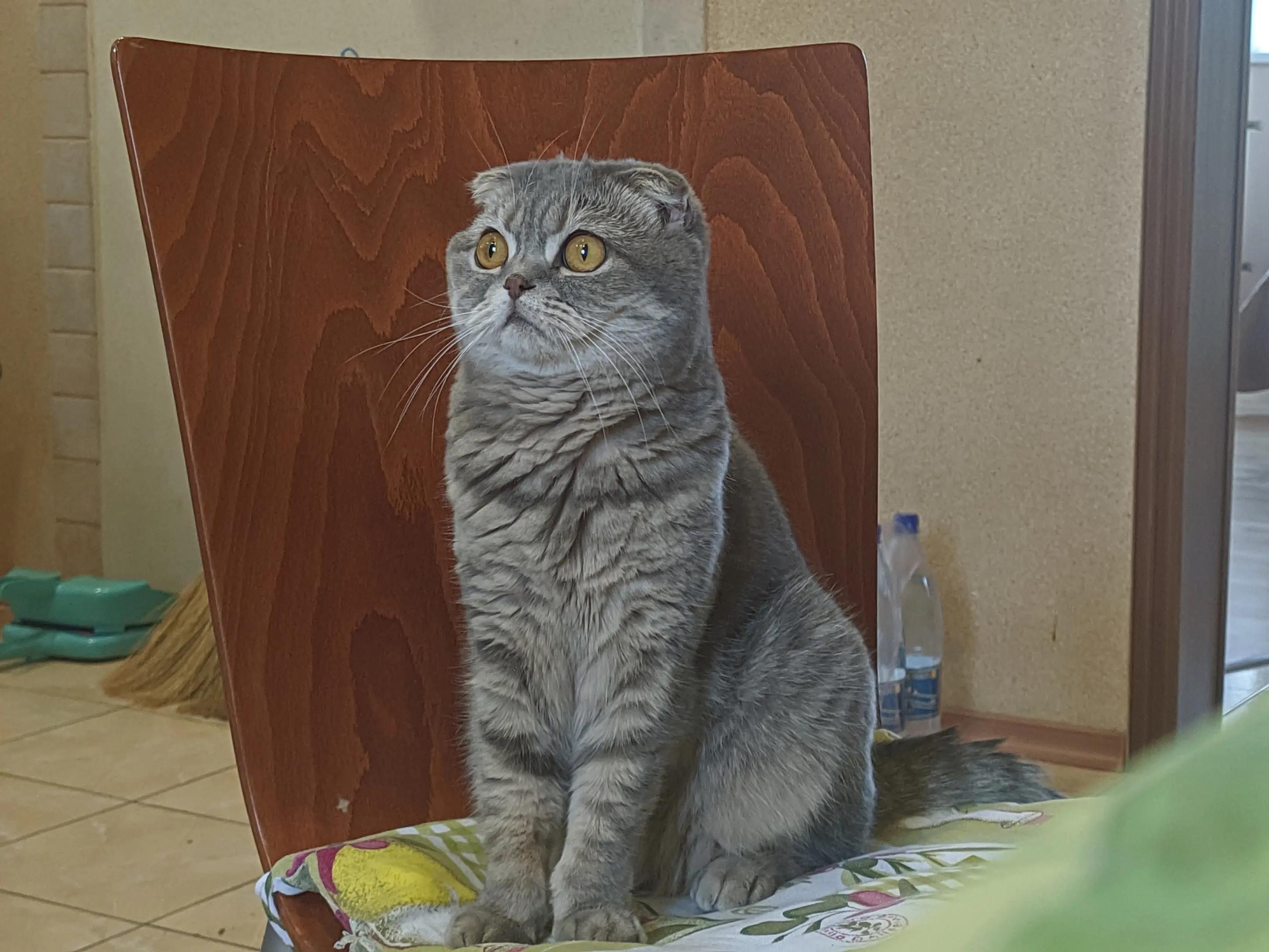 @Макар Макар
