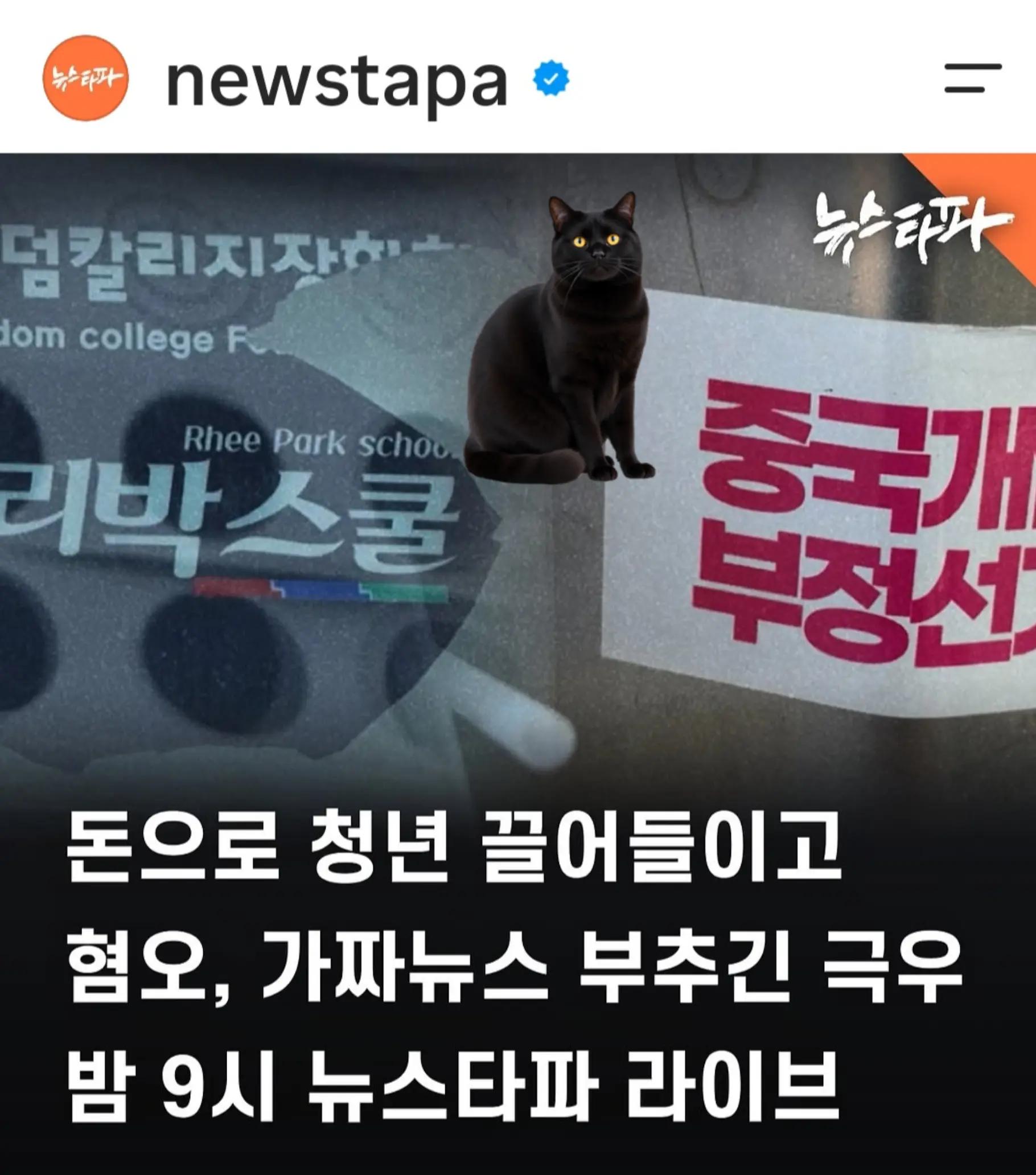 @🌺시라소니[본]🌺