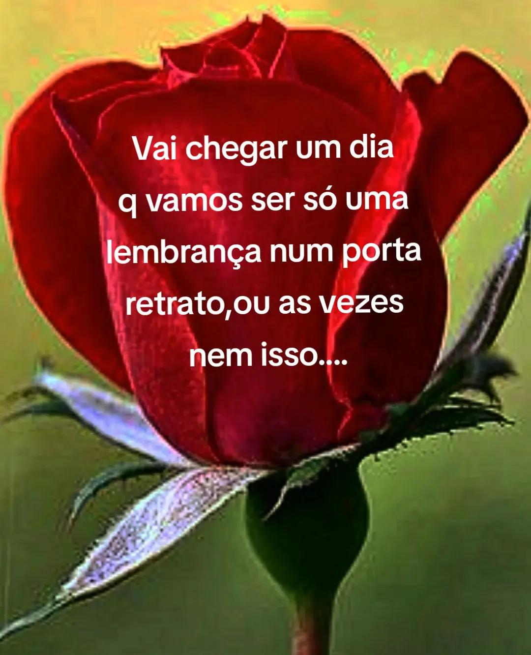 @Alicio amor infinito..