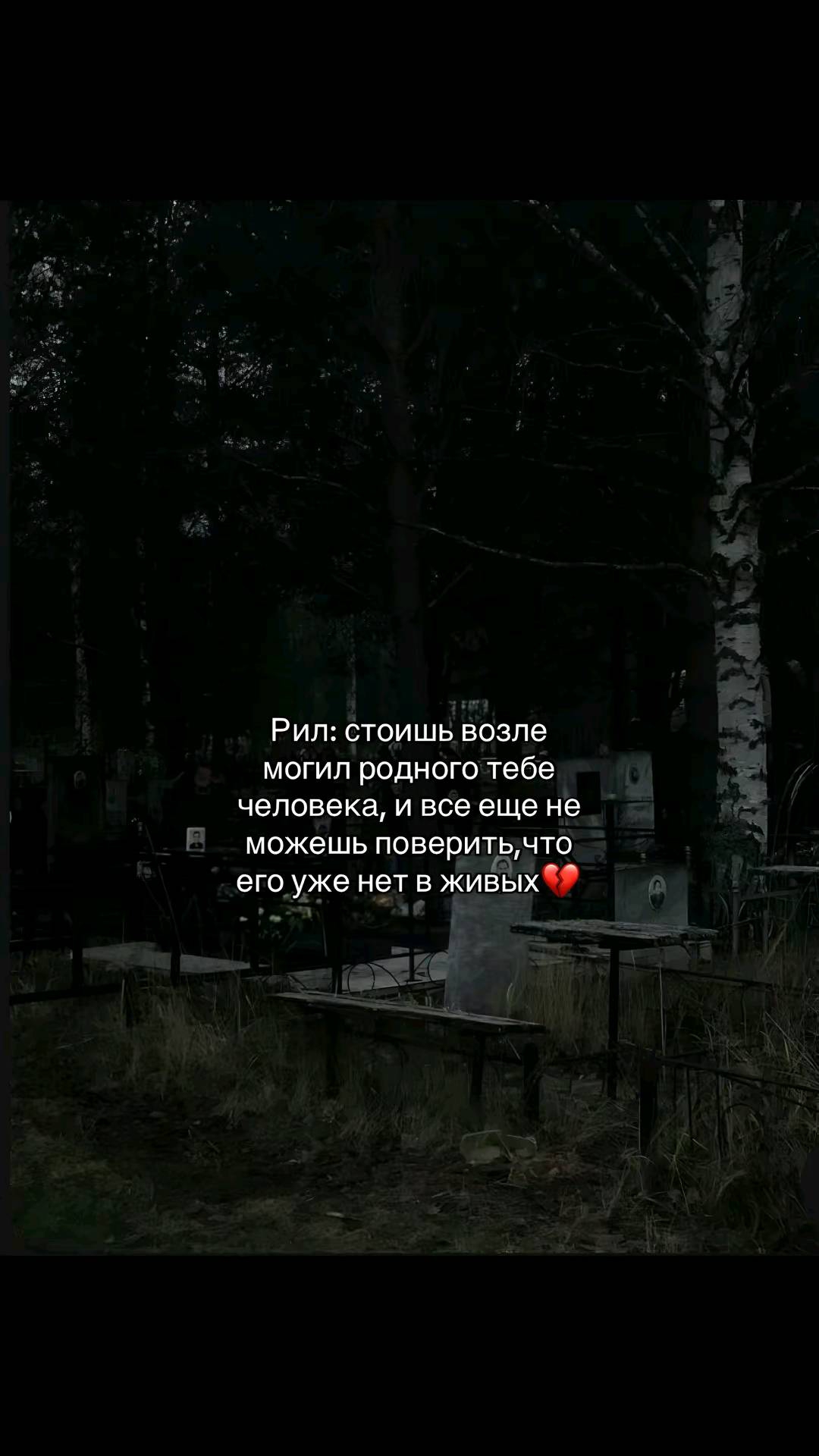 @♡𝔅𝔞𝔫𝔡𝔦𝔱𝔨𝔞♡