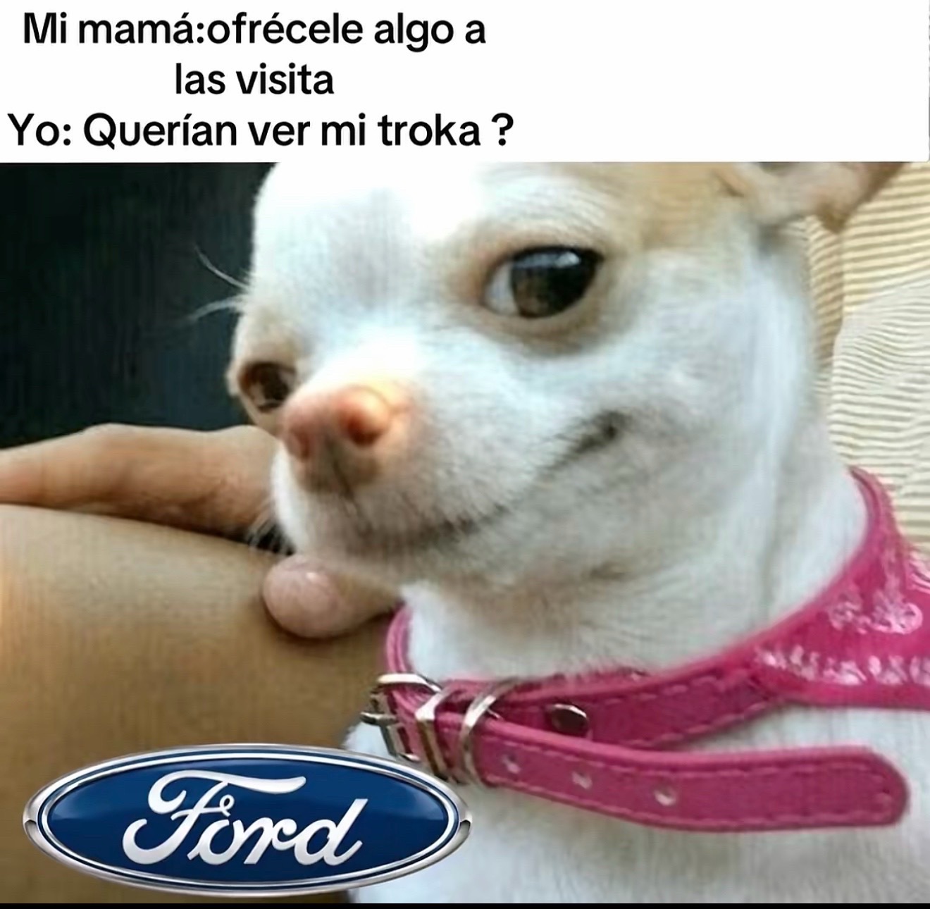 @Placs🥷