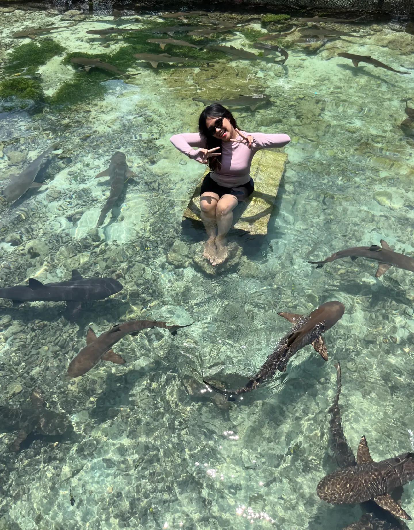 @WISATA KARIMUNJAWA