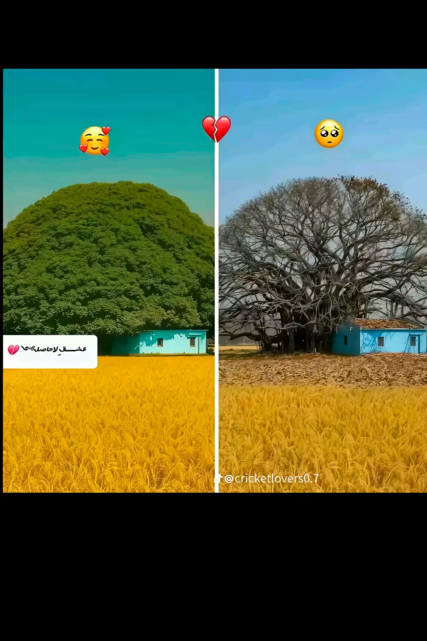@R ░A░M░J░A░N♡࿐