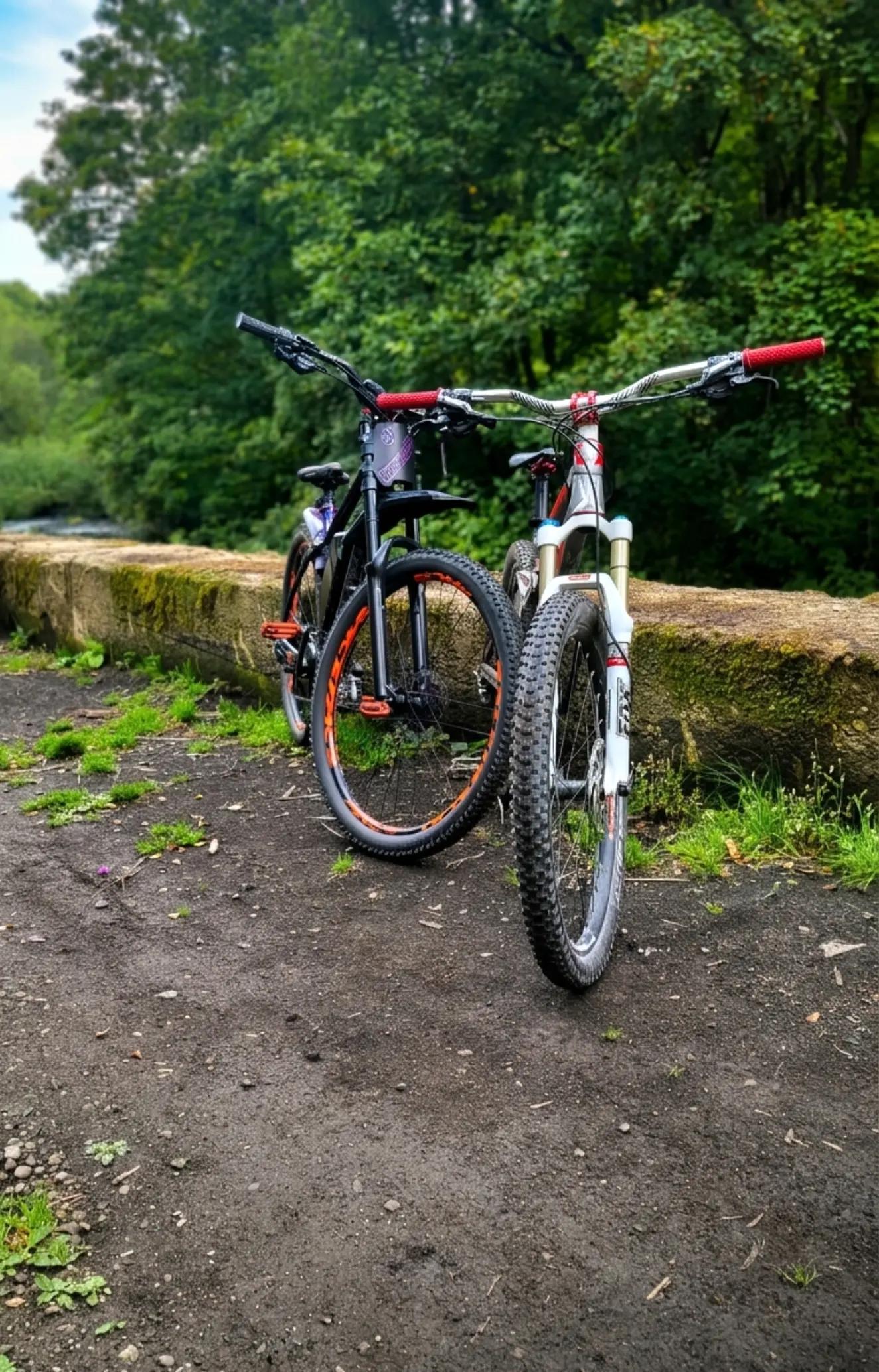 @Damon EMTB