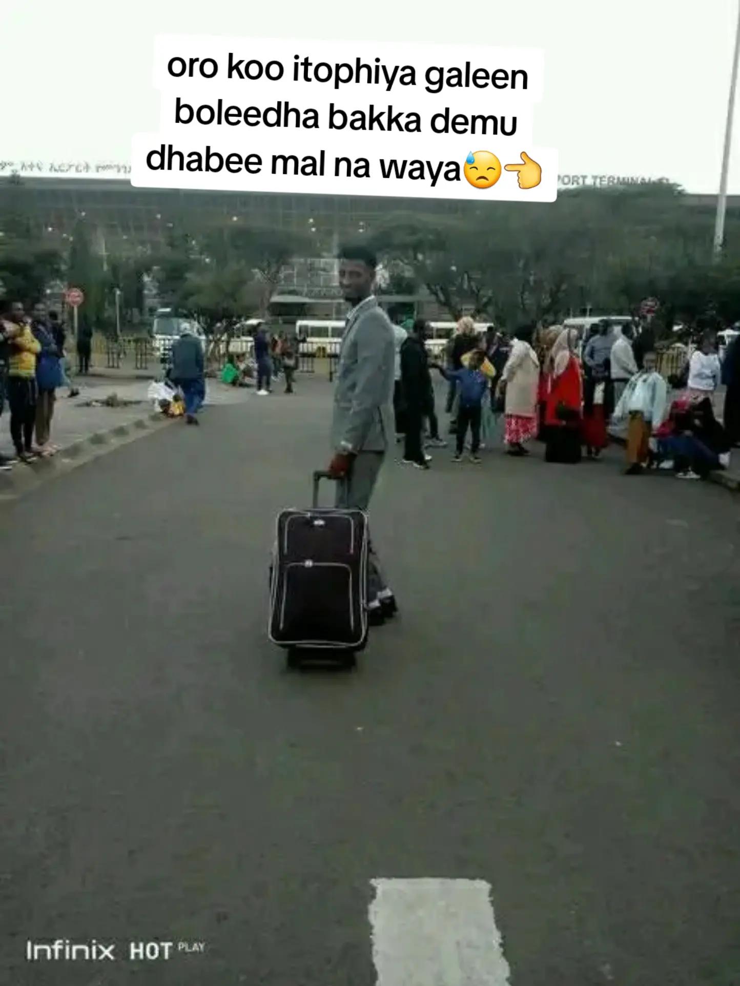@geecho ambo