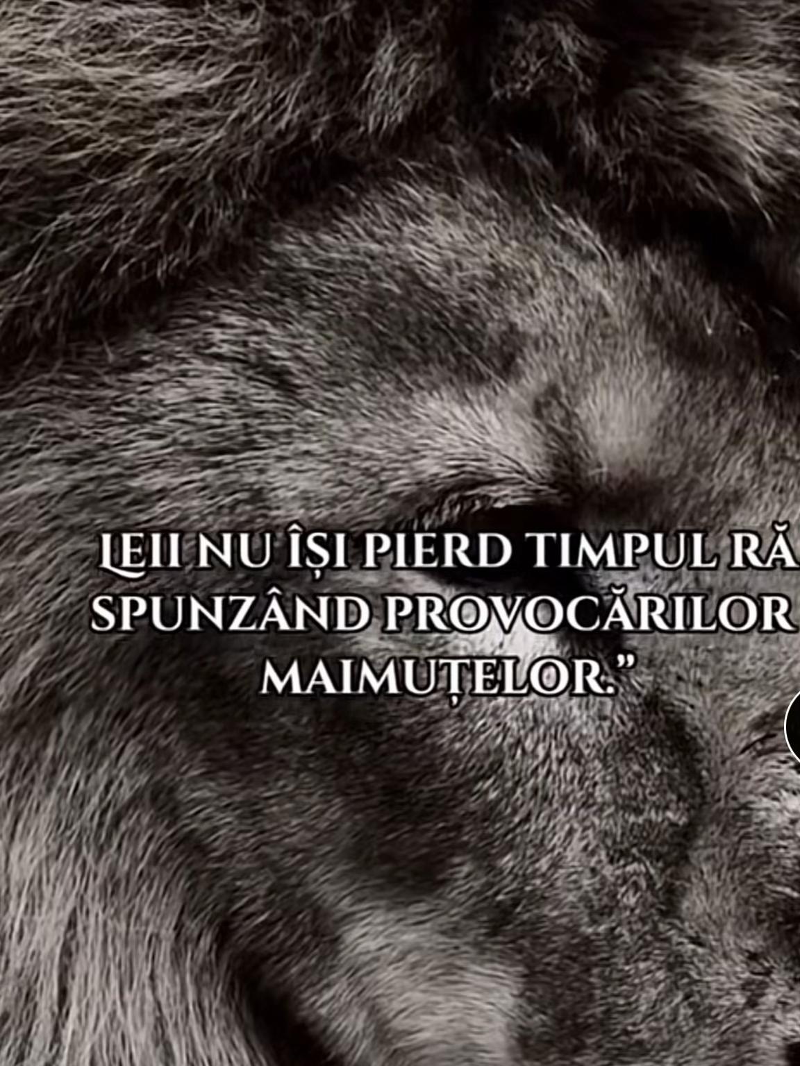 @Dany👏🏻👏🏻👏🏻🫸🏻
