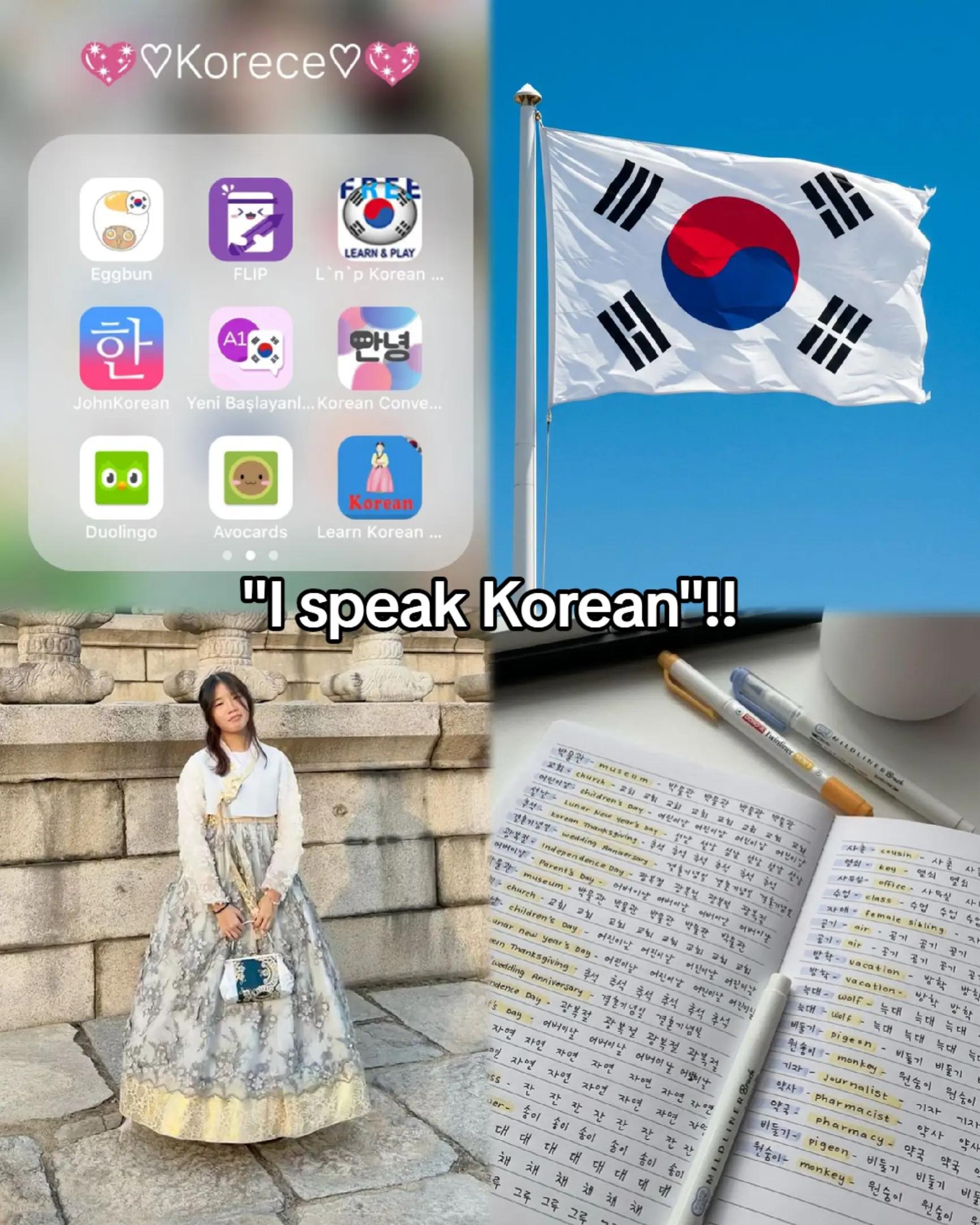 @✨한국