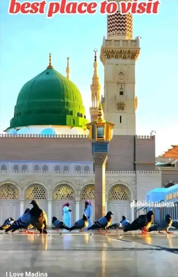 @💕 Murtaza Awan❤️