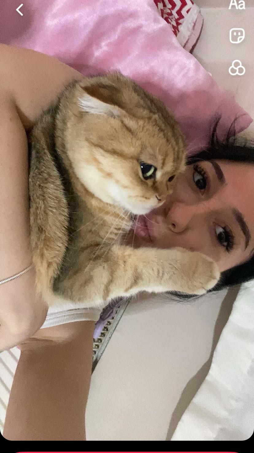 @𝓜𝓮𝓻𝓿𝓮🦢