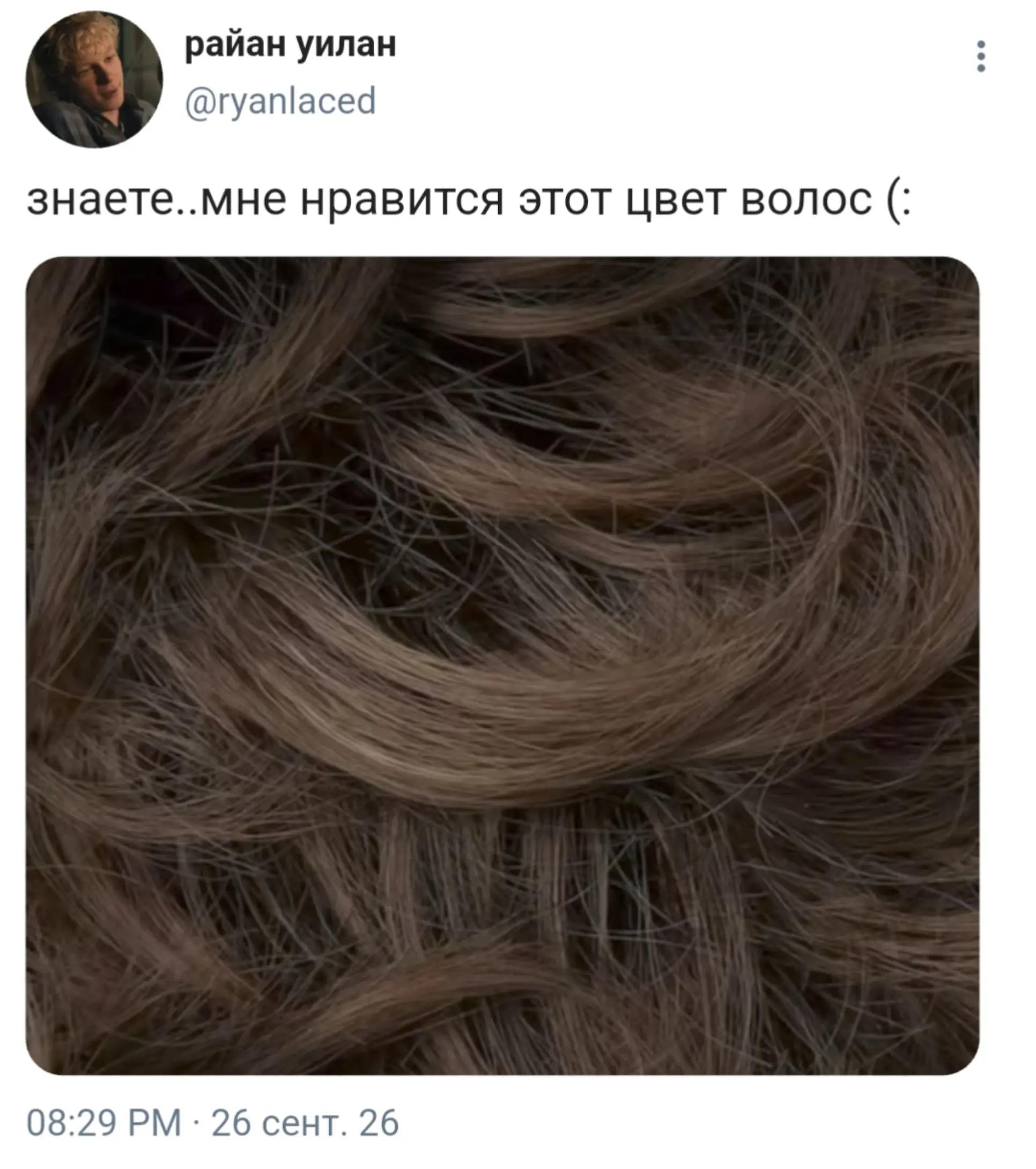 @౨ৎ билли