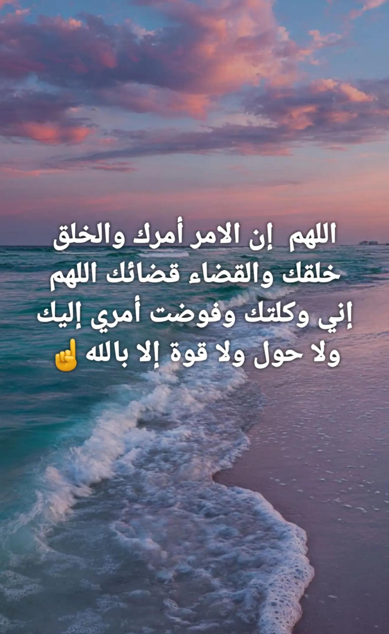 @🇩🇿غيث الجزائري 🇩🇿