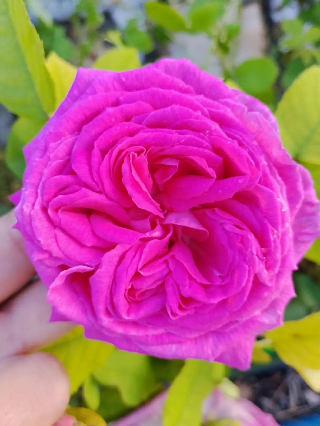 @poyraz'ın kraliçesi💙